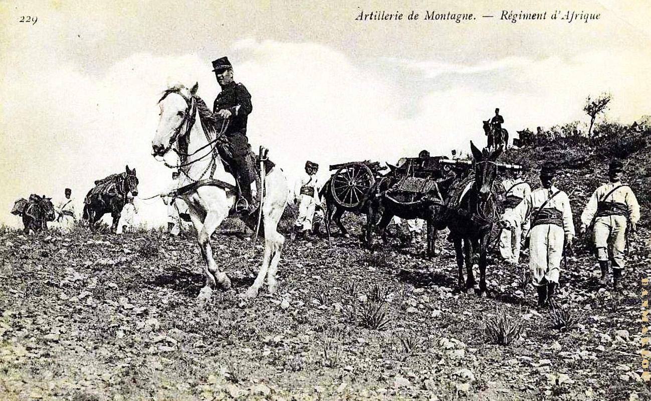 Algerie - Artillerie de Montagne .jpg